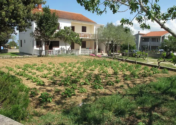 Dede Apartament